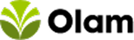 Frame 738001703